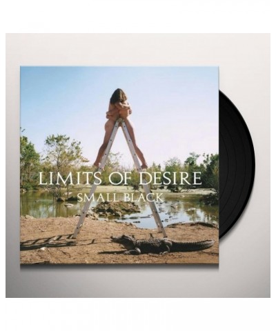 Small Black Limits of Desire Vinyl Record $8.51 Vinyl