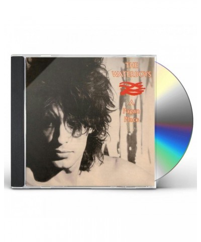 The Waterboys PAGAN PLACE CD $2.97 CD