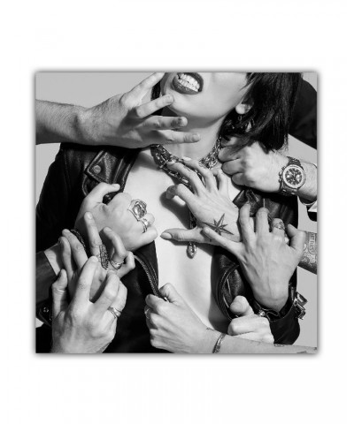 Halestorm Vicious Album Cover Poster $4.80 Decor