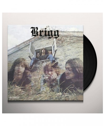 BRIGG Vinyl Record $8.70 Vinyl