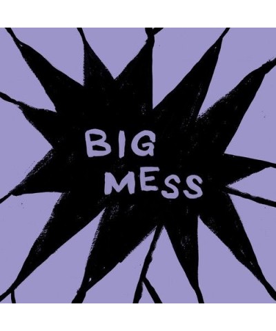 Public Body BIG MESS Vinyl Record $8.00 Vinyl